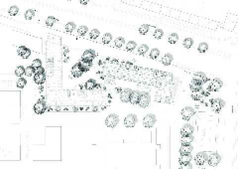Lageplan Clara und Robert, sop architekten