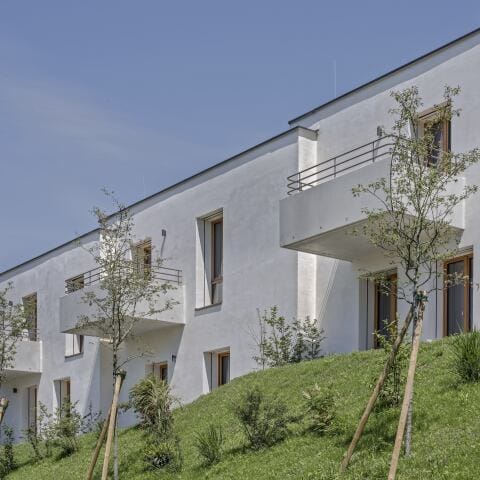 Architektur mit Klima-Bonus