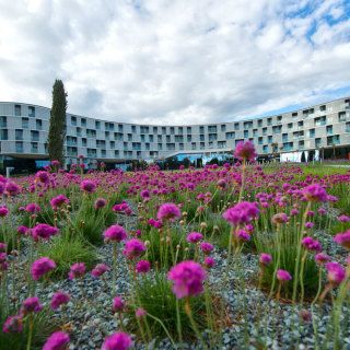 Family Hotel Amarin in Rovinj