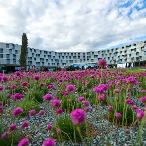 Family Hotel Amarin in Rovinj