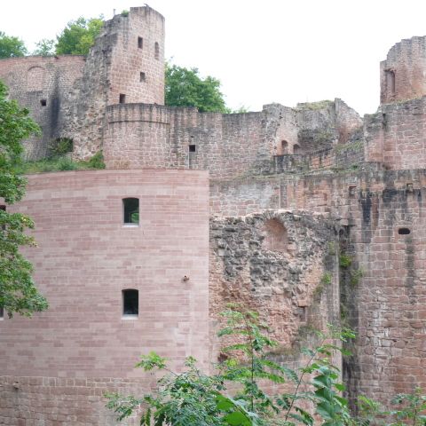 Burgruine Hardenburg