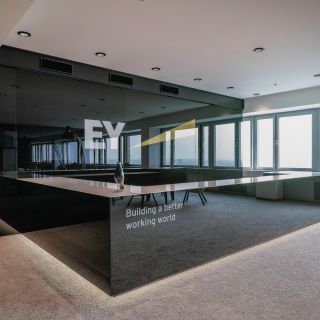 Ernst & Young, Wien