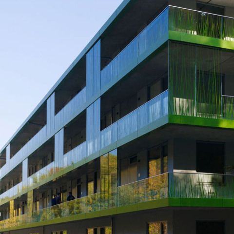 Neubau Studentenwohnheim Wildau - Berlin