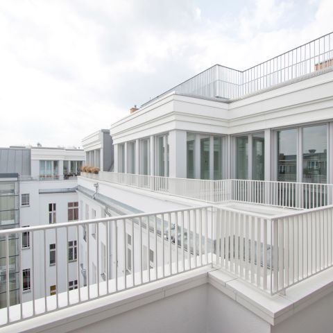 deckweiß