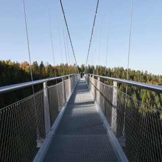 Fußgängerhängebrücke Wildline