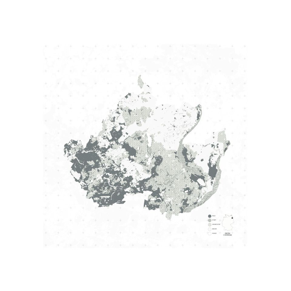 Vegetation