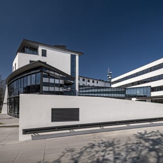 Centro Tesoro