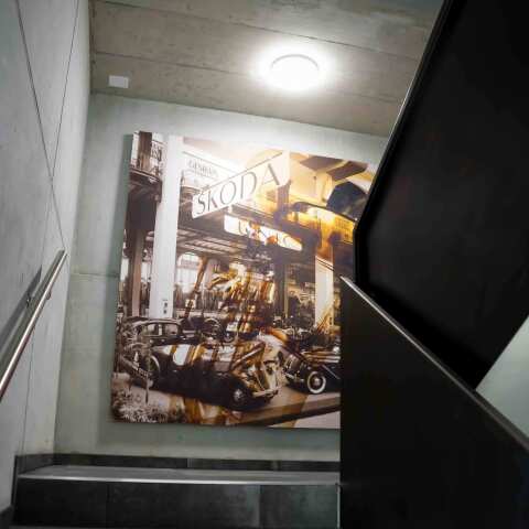 Auto Showroom