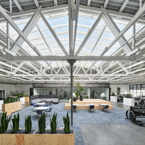 Transformation einer Industrie-Halle zu einer Bürolandschaft  -  Diemelstadt Rhoden