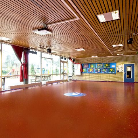 I.B.I.S. Independent Bonn International School