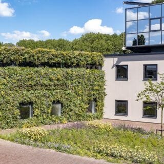 Hauptsitz ESSENZA HOME