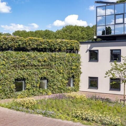 Hauptsitz ESSENZA HOME
