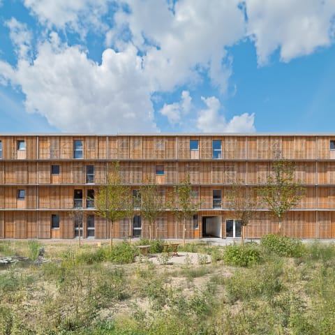 dgj223 IBA Collegium Academicum