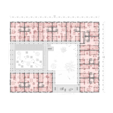 Collegium Academicum, Grundriss Regelgeschoss