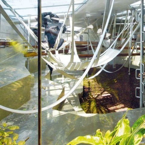 Anlage für afrikanische Menschenaffen, Wilhelma – Zoologisch-botanischer Garten