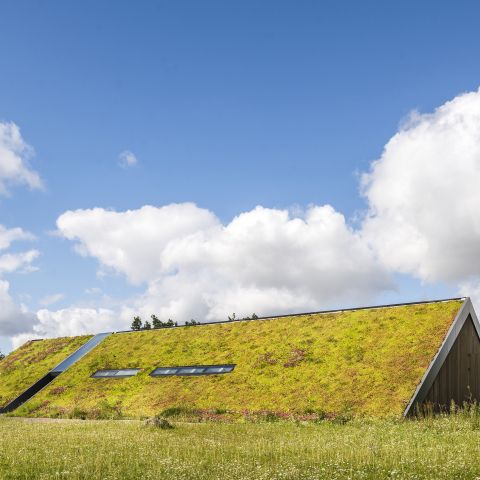 Green Line House, Jabłonowo | Poland