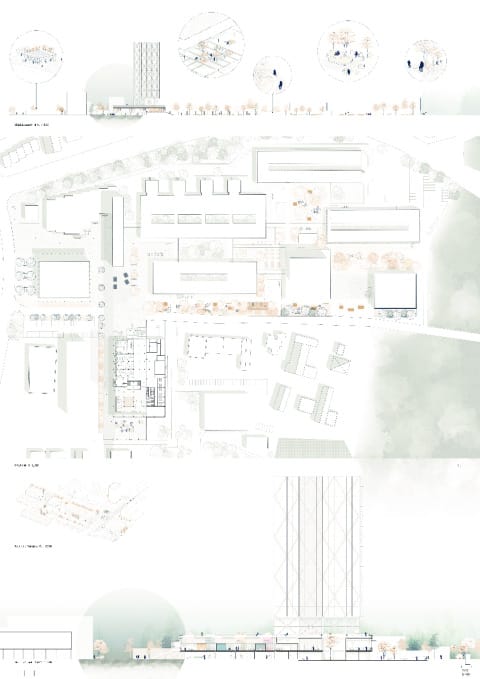 Freiflächenplan