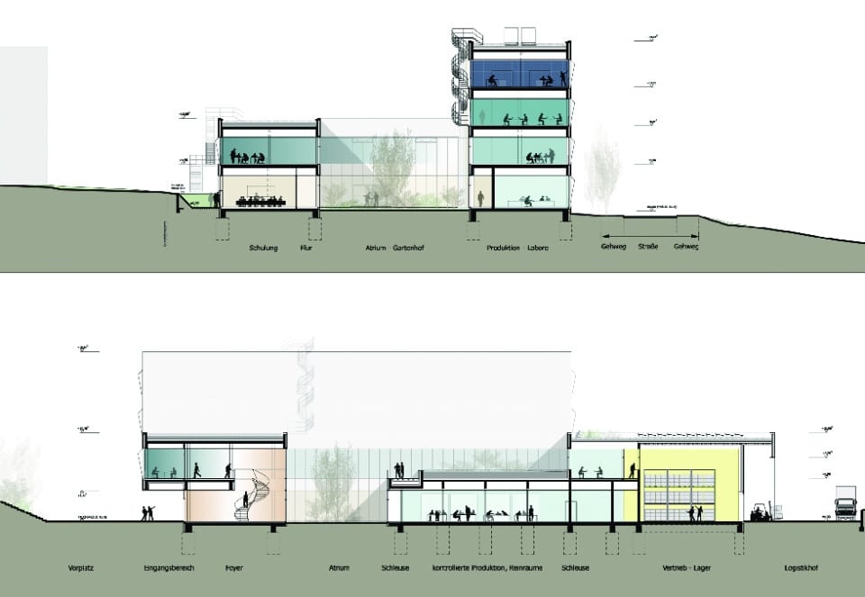 Querschnitt (durch Atrium und Gebäudehochpunkt), Längsschnitt (durch Foyer, Atrium, Reinraumproduktion, Lager)