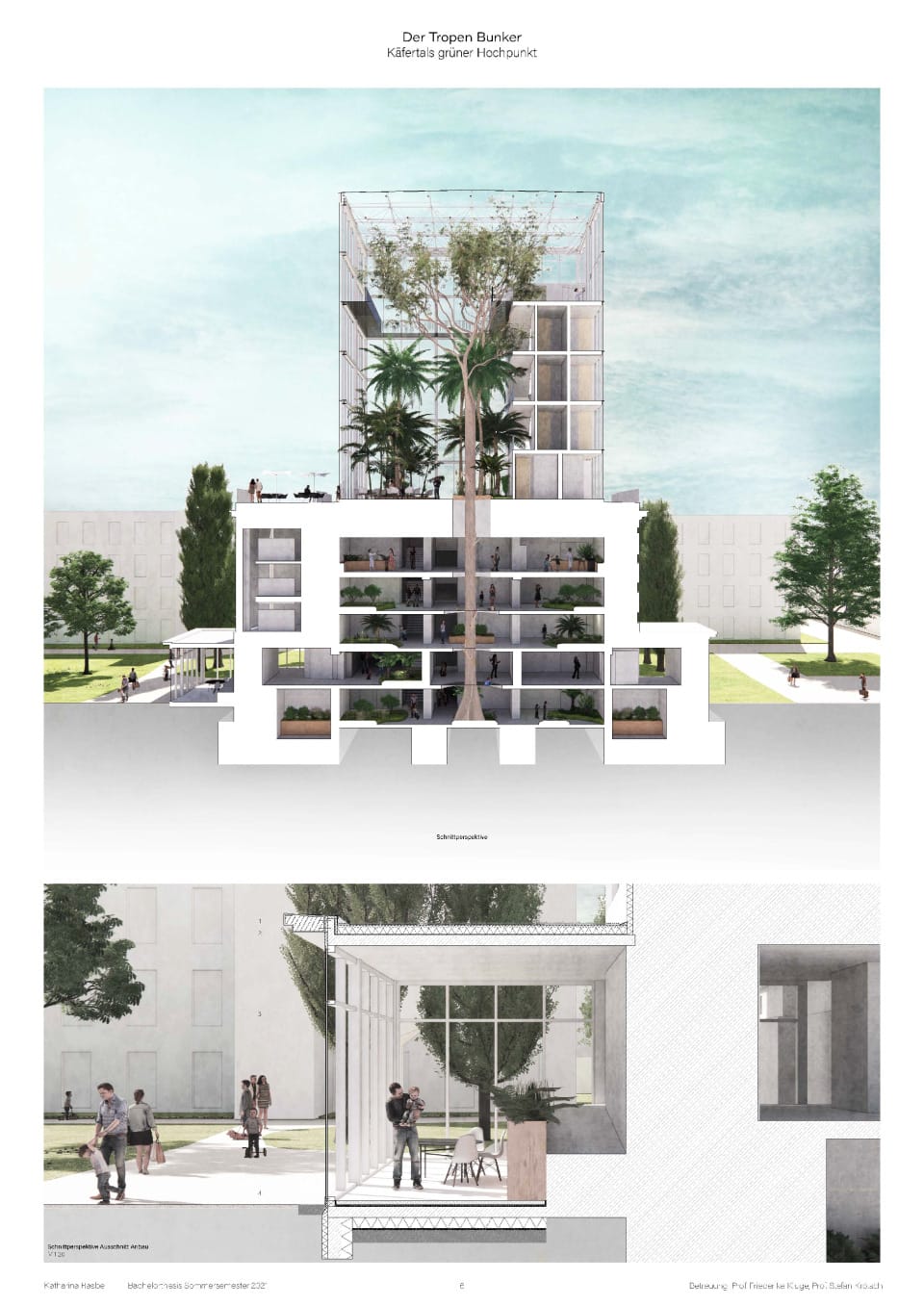 Plan 6