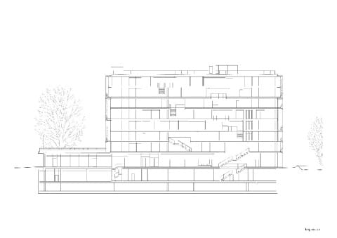 MSF_11_long_section_bearb