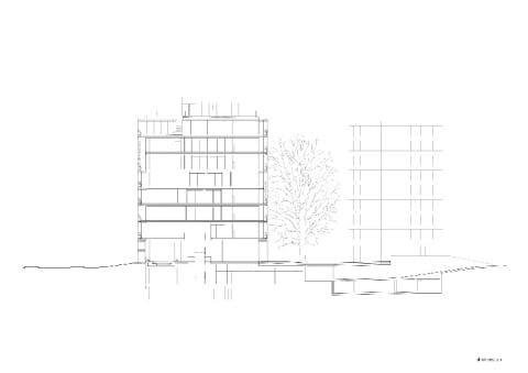 MSF_12_short_section