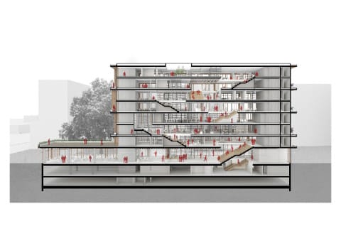 MSF_20_section_perspective