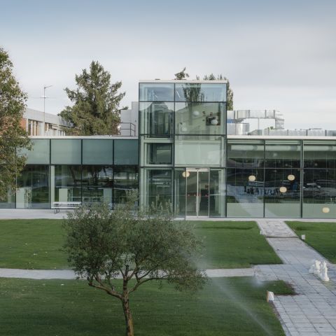 Amerikanische Schule Madrid