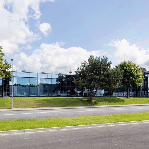 Natürliches Licht für eine moderne Bürolandschaft