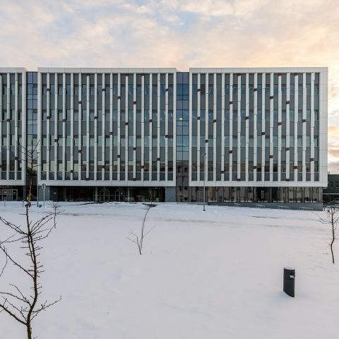 Universität Vilnius