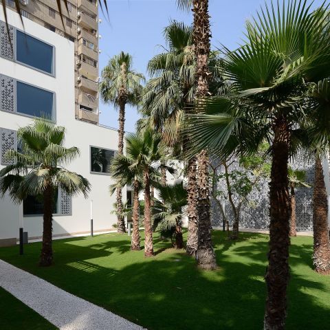 Neu- und Umbau Goethe-Institut und DAAD in Kairo | Ägypten (1. BA)