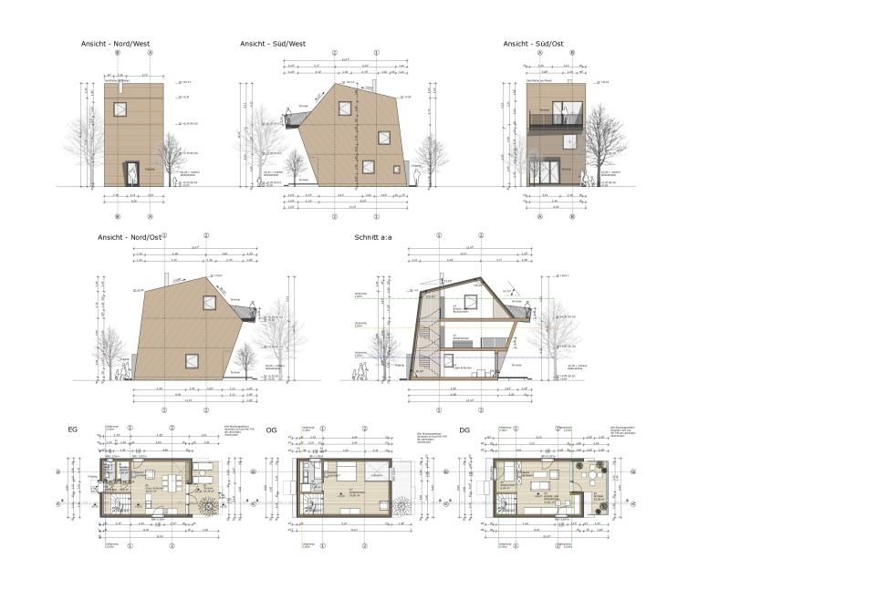 Planung Ginger