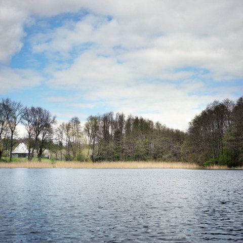 Pavillon
