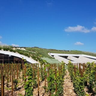 Weinkellerei Bodegas Ramón Bilbao