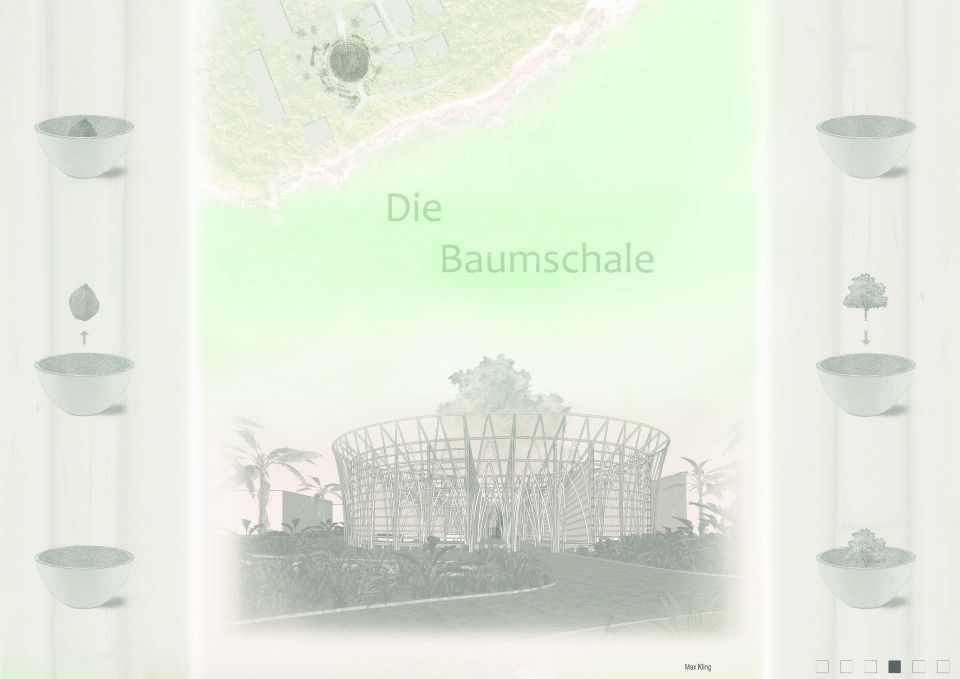Die Baumschale