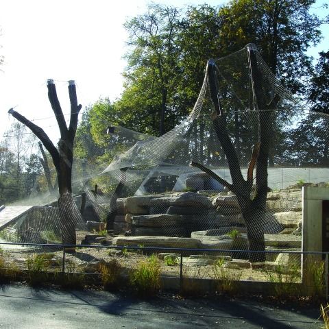 Tierpark Dählhölzli