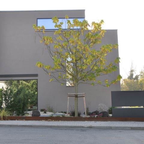Haus A