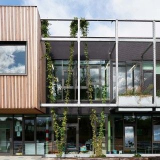 Hillyfield Primary Academy, London