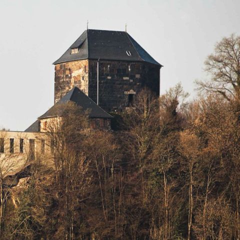 BURG AM RHEIN