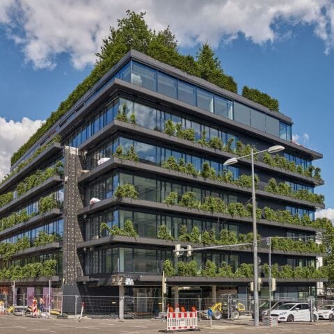 Immergrüne Fassade, Calwer Passage, Stuttgart