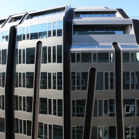 Steckelhörn 11