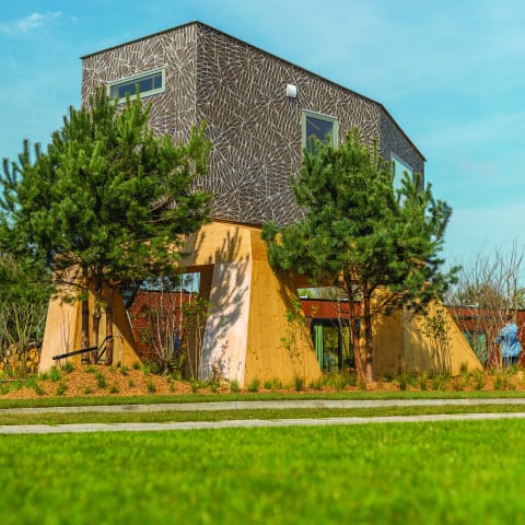 The Rebel House