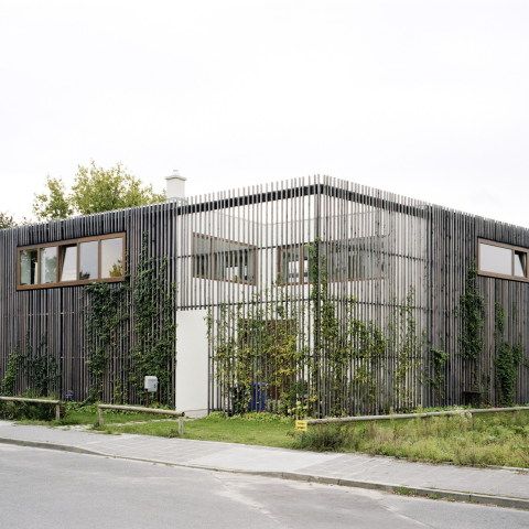 Haus X