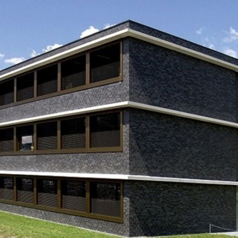 Sygenta, Stein-Säckingen
