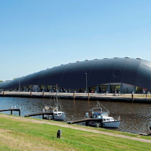 Wal Friedrichskoog