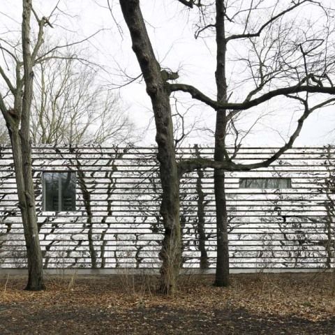 Atelier mit Spiegelfassade