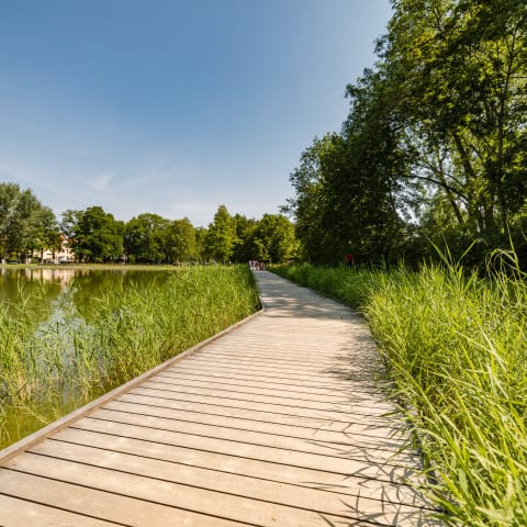 Landesgartenschau in Apolda
