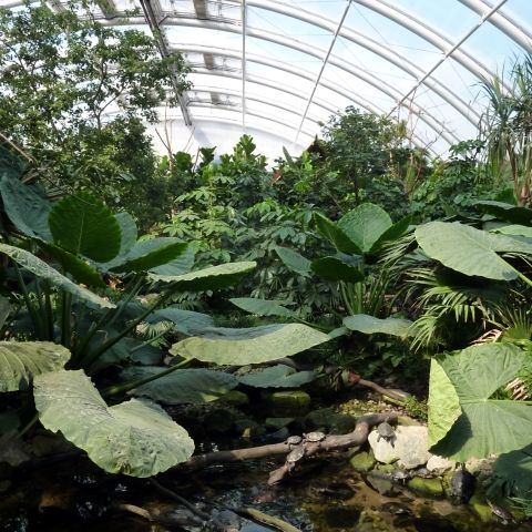 ZOOM-Erlebniswelt im Ruhr-Zoo
