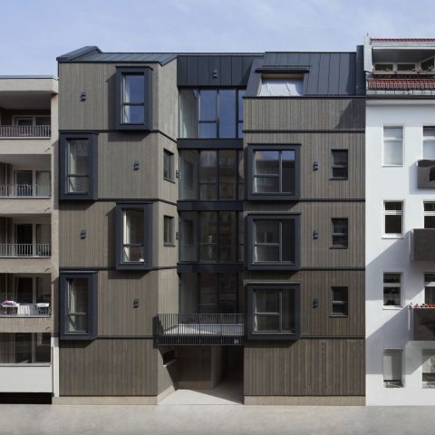 urban nest