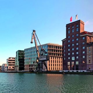 dock14