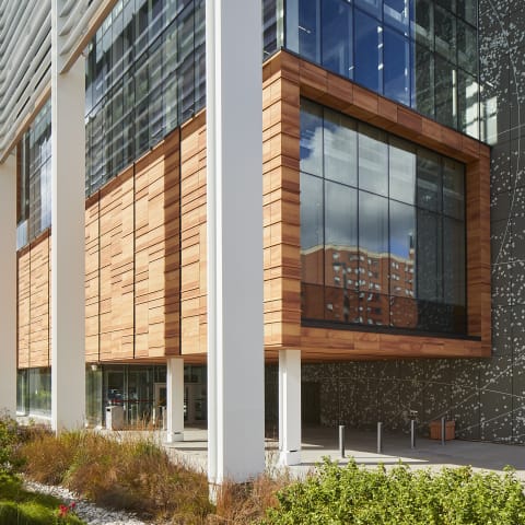 Seneca College Toronto (CITE)